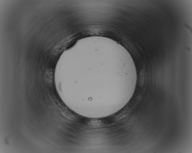 X0000103280413200809261231