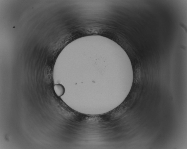 X0000103280414200809261231