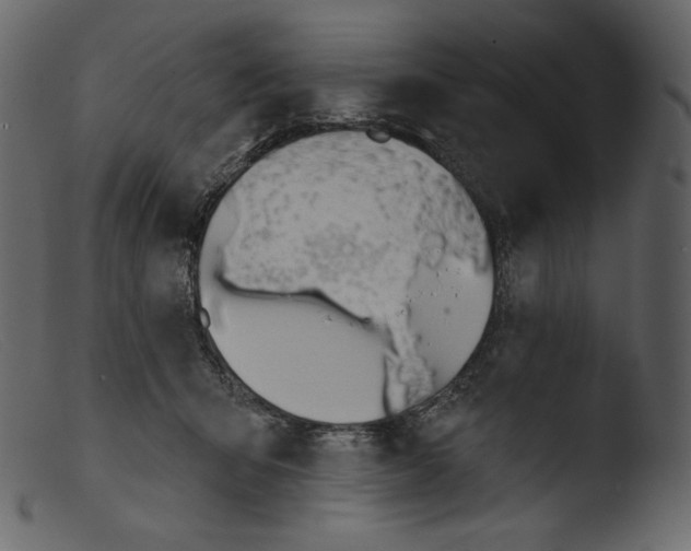 X0000103280415200809261231