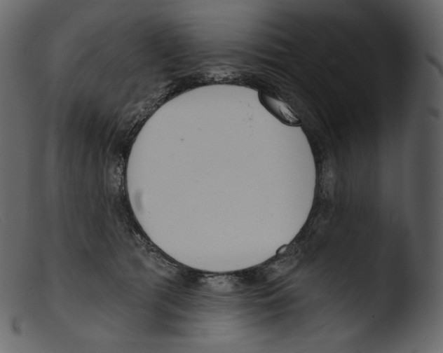 X0000103280417200809261230