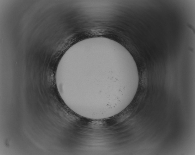 X0000103280418200809261230