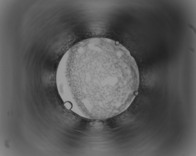 X0000103280419200809261230