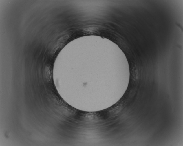 X0000103280420200809261230