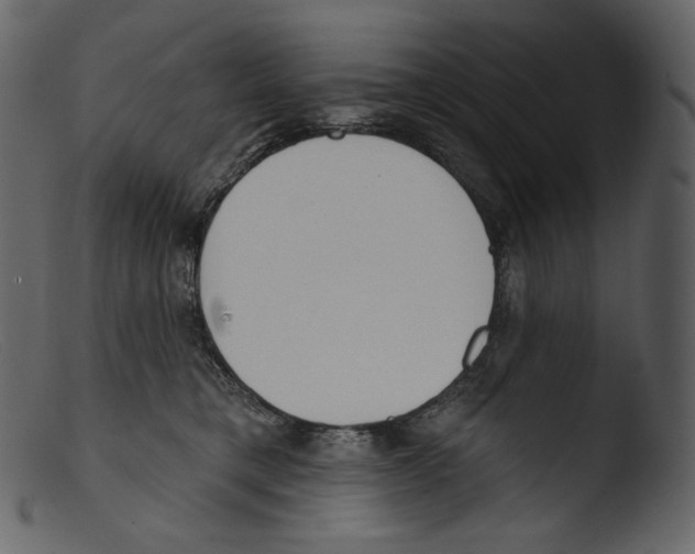 X0000103280421200809261230