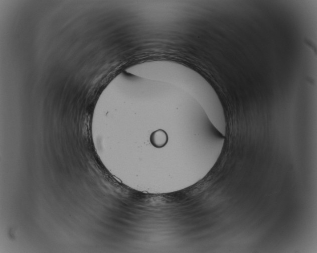 X0000103280423200809261230