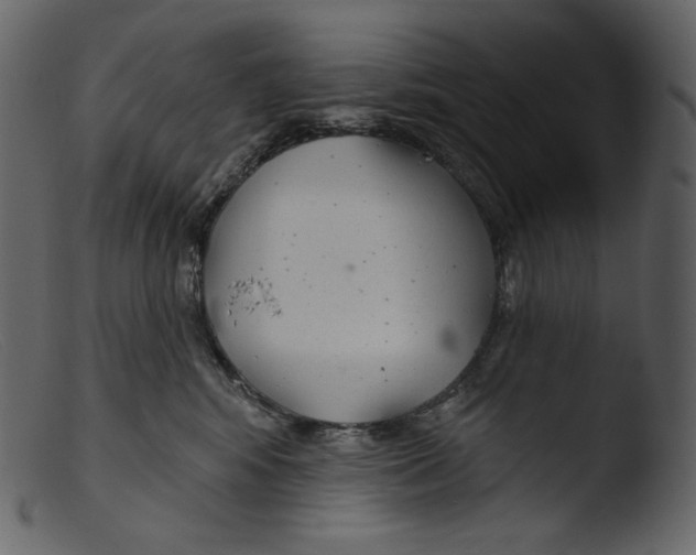 X0000103280424200809261230