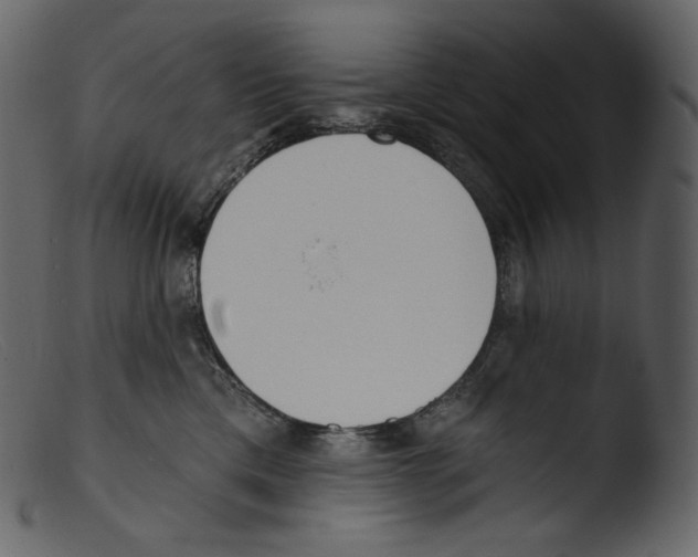 X0000103280425200809261230