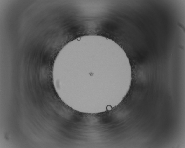 X0000103280427200809261230