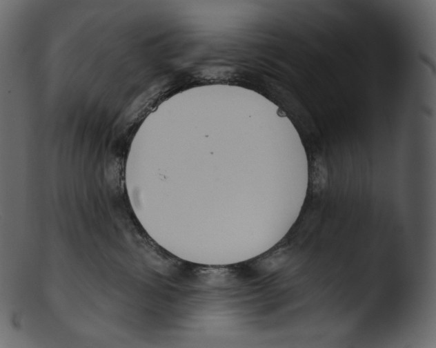 X0000103280428200809261230