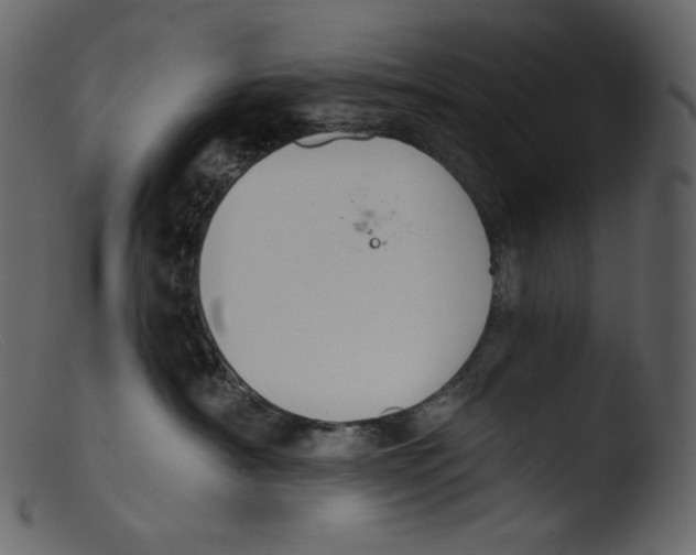 X0000103280430200809261230