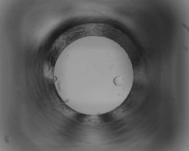 X0000103280431200809261230