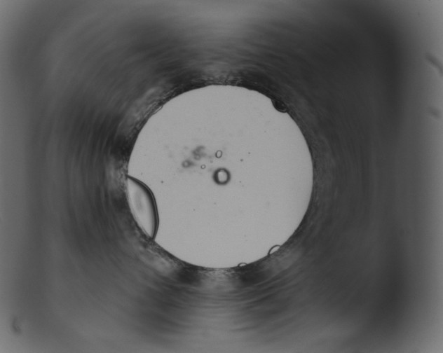 X0000103280432200809261230