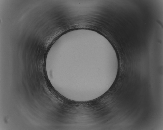 X0000103280434200809261230