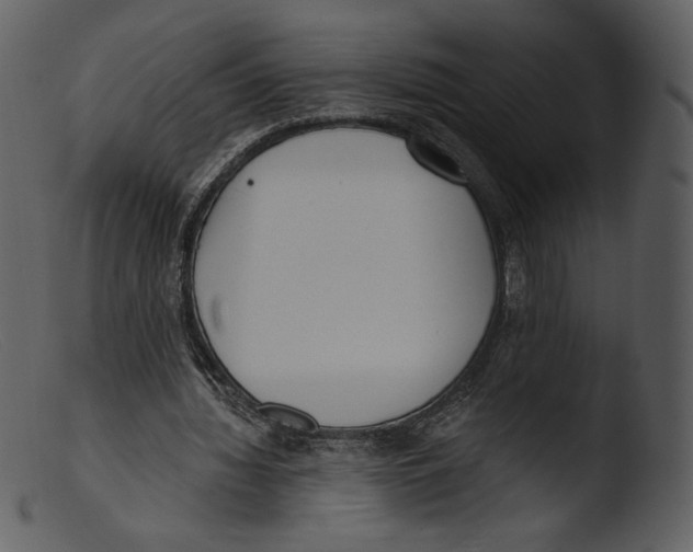 X0000103280436200809261230