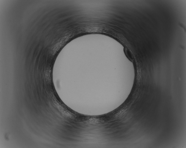 X0000103280441200809261230