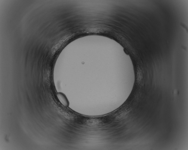 X0000103280444200809261230