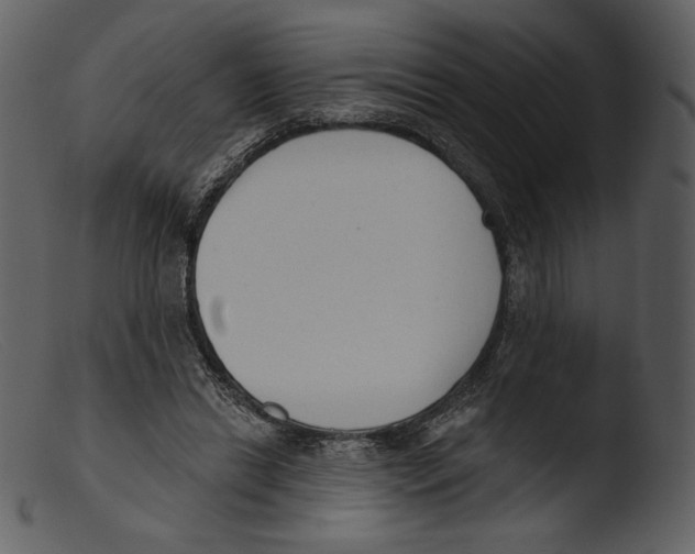 X0000103280446200809261230