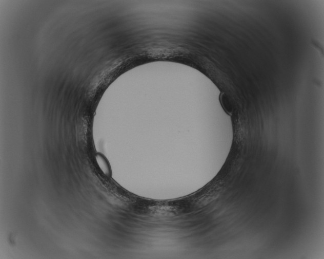 X0000103280448200809261230