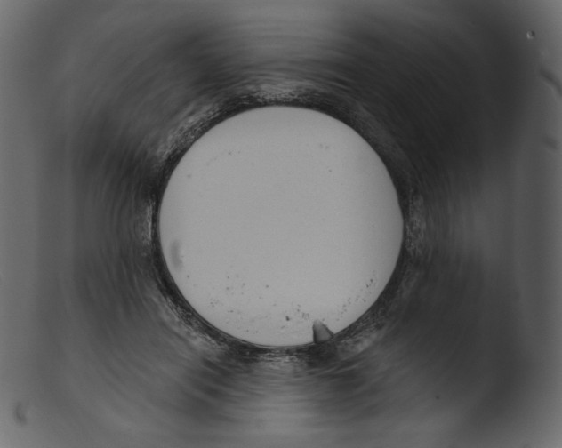 X0000103280454200809261230