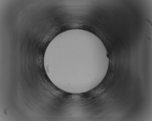 X0000103280462200809261230