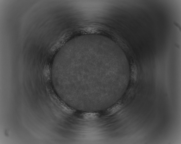 X0000103280465200809261230