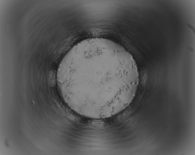 X0000103280471200809261230