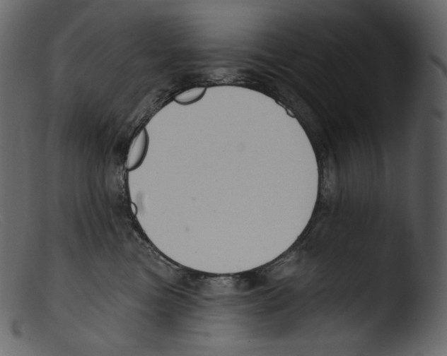 X0000103280473200809261230