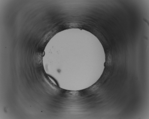 X0000103280478200809261230