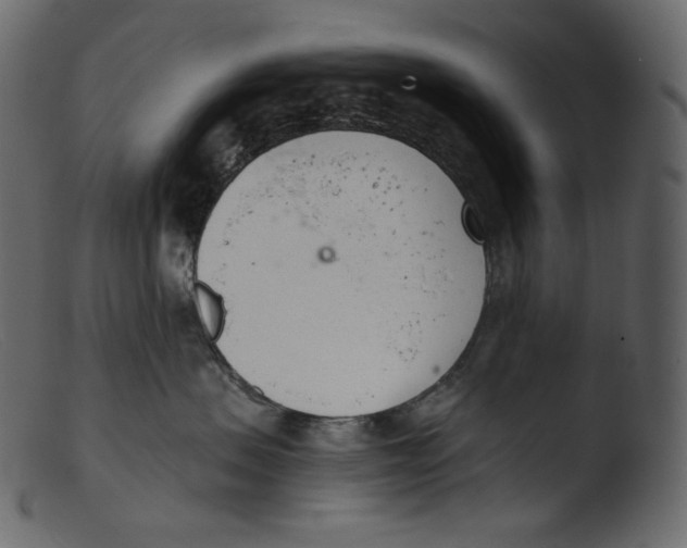 X0000103280479200809261230