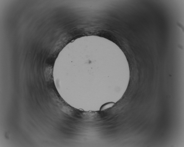 X0000103280480200809261230