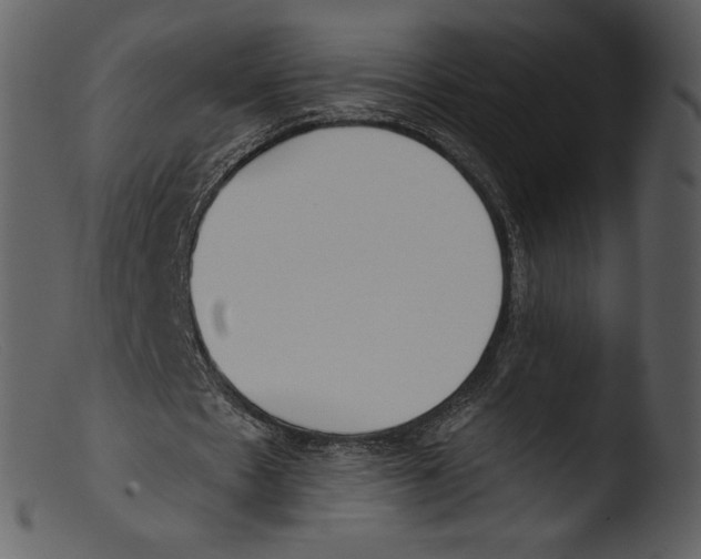 X0000103280481200809261230