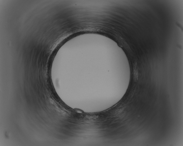 X0000103280484200809261230