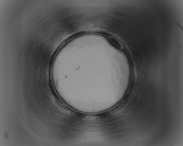 X0000103280487200809261230