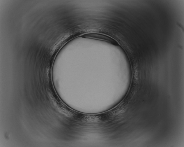 X0000103280491200809261229