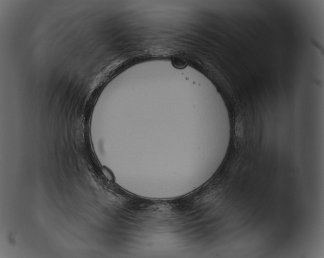 X0000103280492200809261229