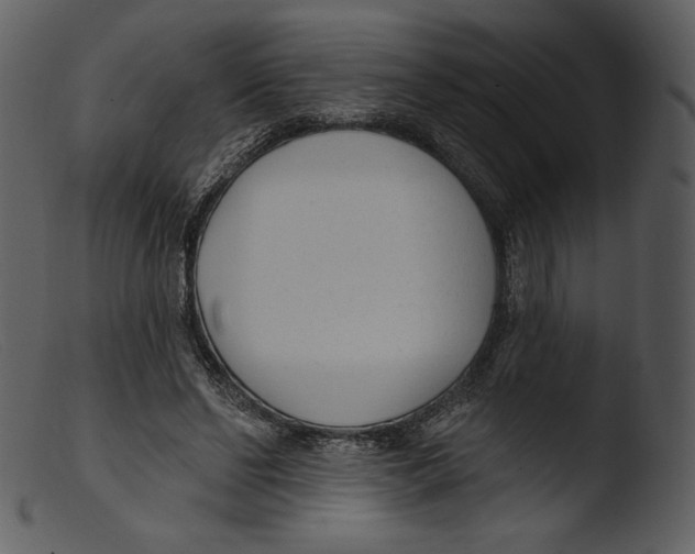 X0000103280494200809261229