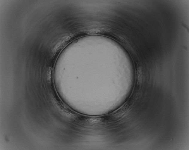 X0000103280495200809261229