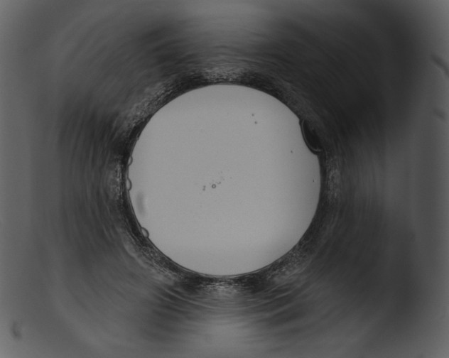 X0000103280498200809261229