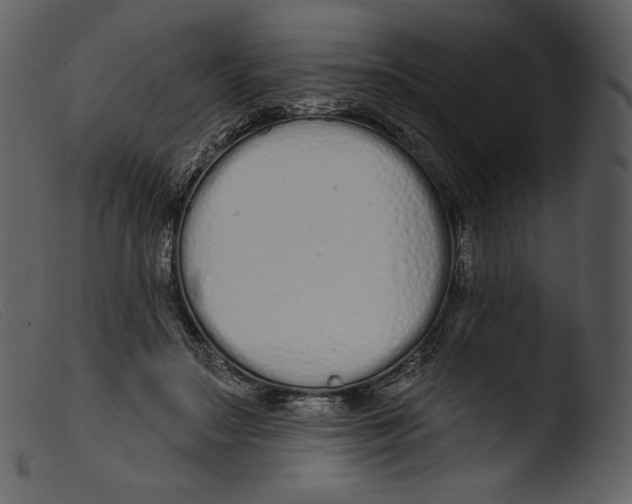 X0000103280499200809261229