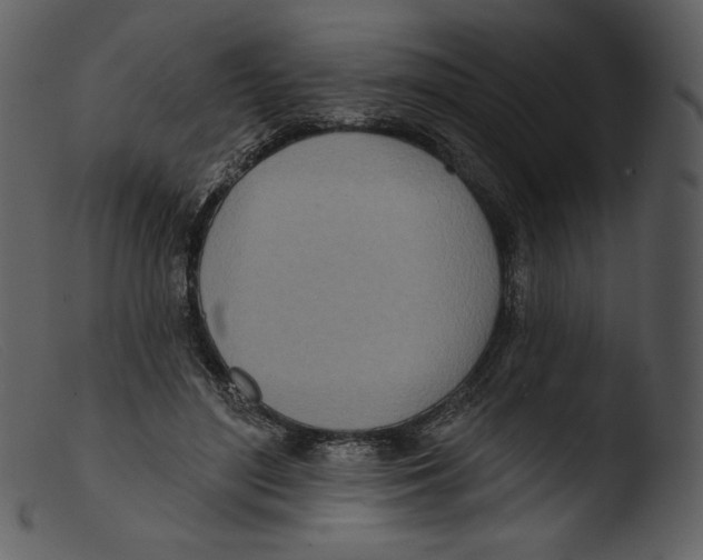 X0000103280500200809261229