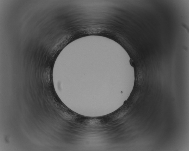 X0000103280501200809261229