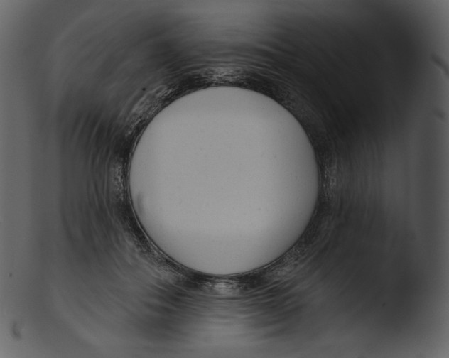 X0000103280506200809261229