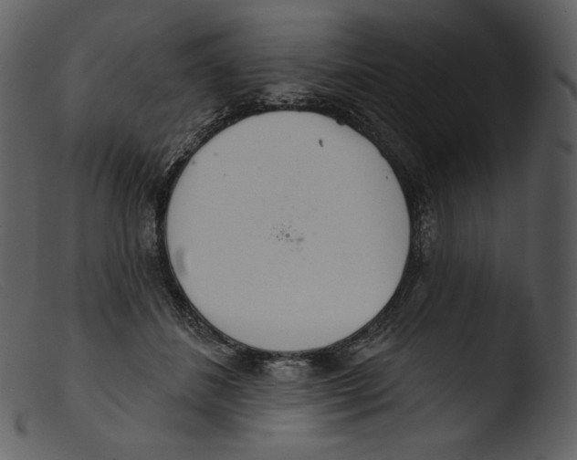 X0000103280508200809261229