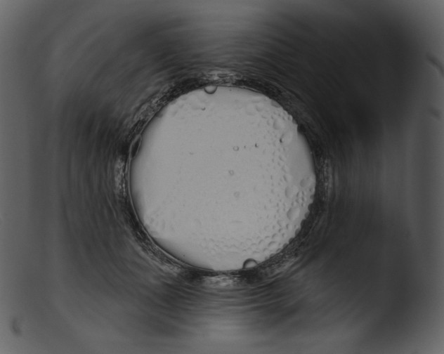 X0000103280511200809261229