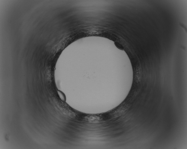 X0000103280512200809261229