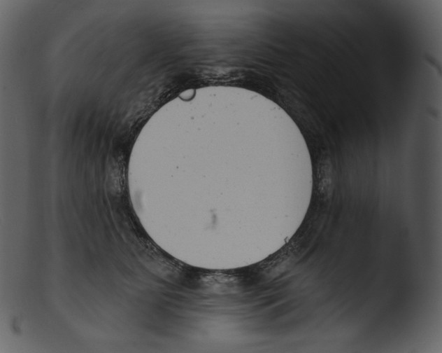 X0000103280515200809261229