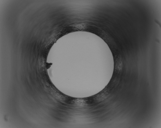 X0000103280518200809261229