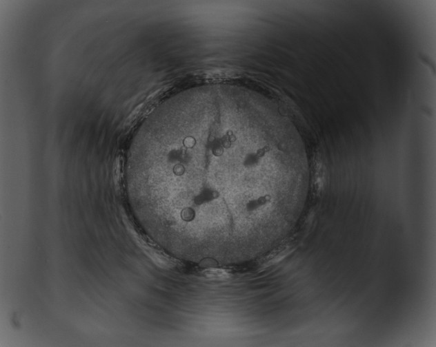 X0000103280519200809261229