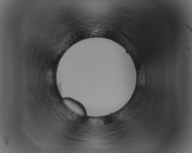 X0000103280520200809261229