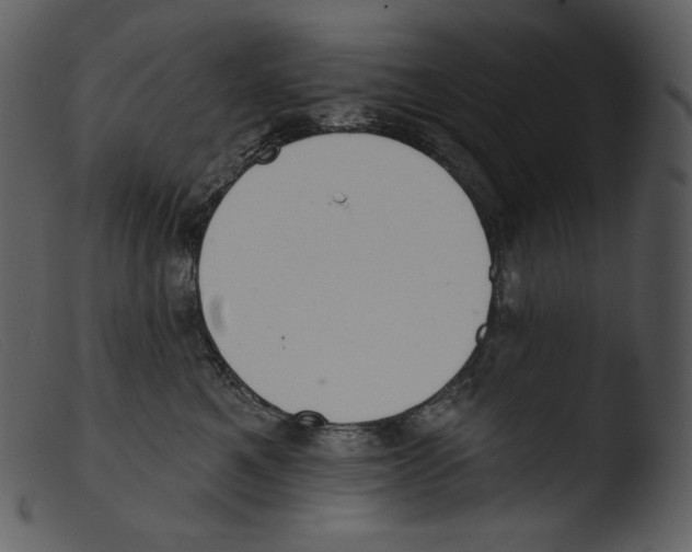 X0000103280521200809261229